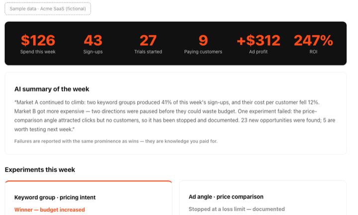 Screenshot of the weekly report sample